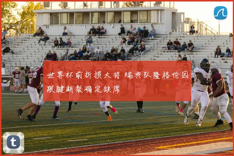 世界杯前折损大将 瑞典队隆格伦因跟腱断裂确定缺席