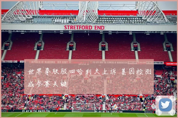 世界拳联驳回哈利夫上诉 基因检测成参赛关键