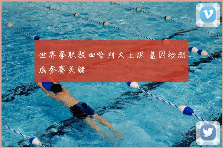 世界拳联驳回哈利夫上诉 基因检测成参赛关键